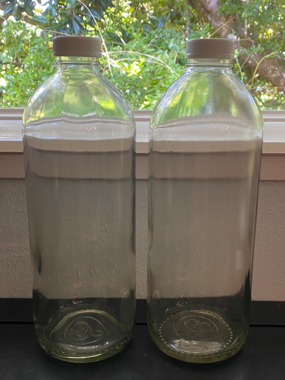 💧Two 48 oz. Large Thick Glass Jugs Screw on Plastic Cap Water Storage Home Brew - Picture 5 of 11